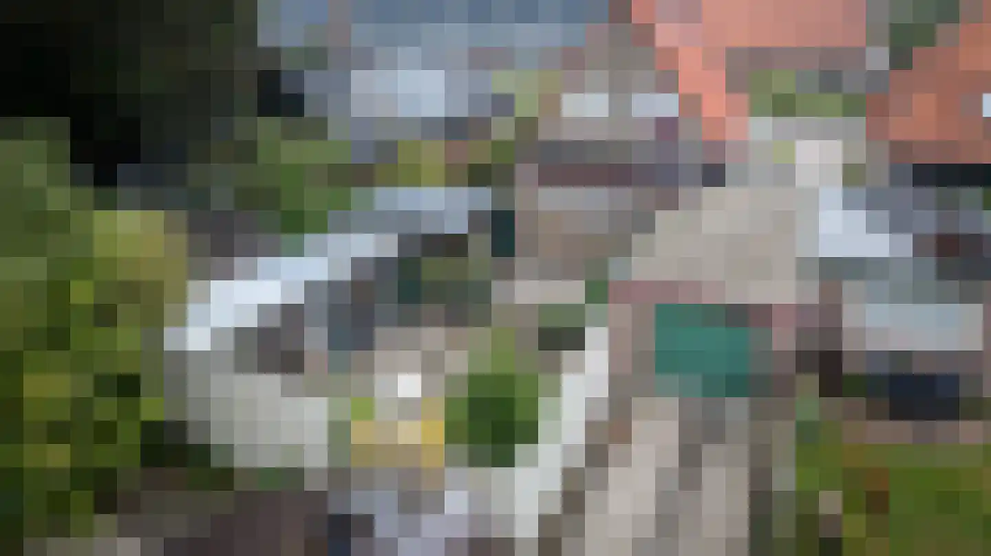 Gelderingen 32 Steenwijkerwold thumbnail 38