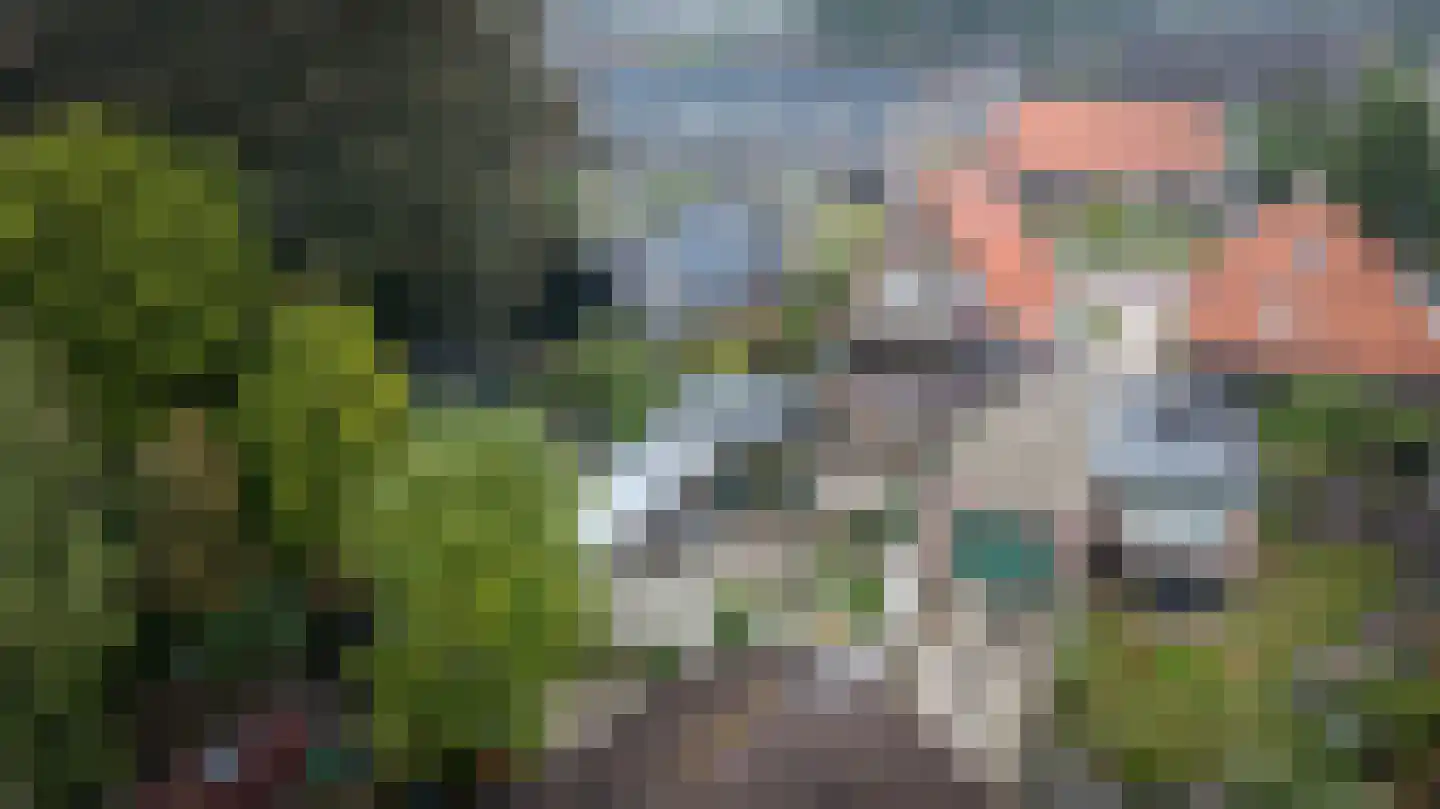 Gelderingen 32 Steenwijkerwold thumbnail 40