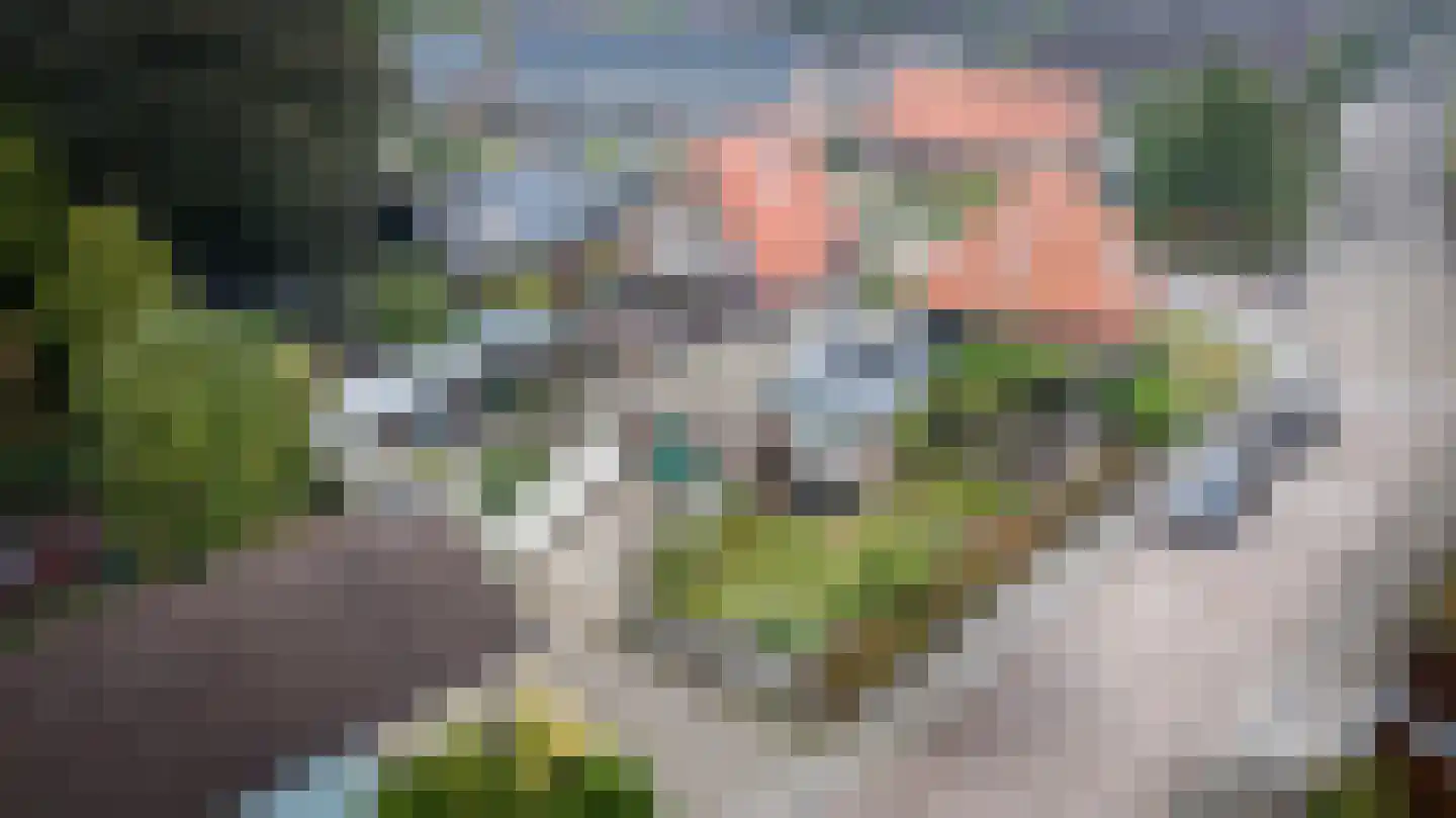 Gelderingen 32 Steenwijkerwold thumbnail 41