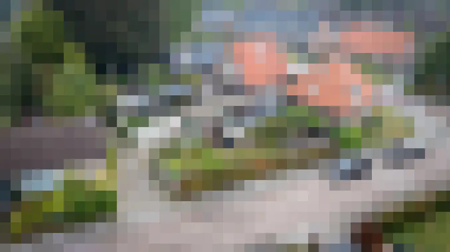 Gelderingen 32 Steenwijkerwold thumbnail 42