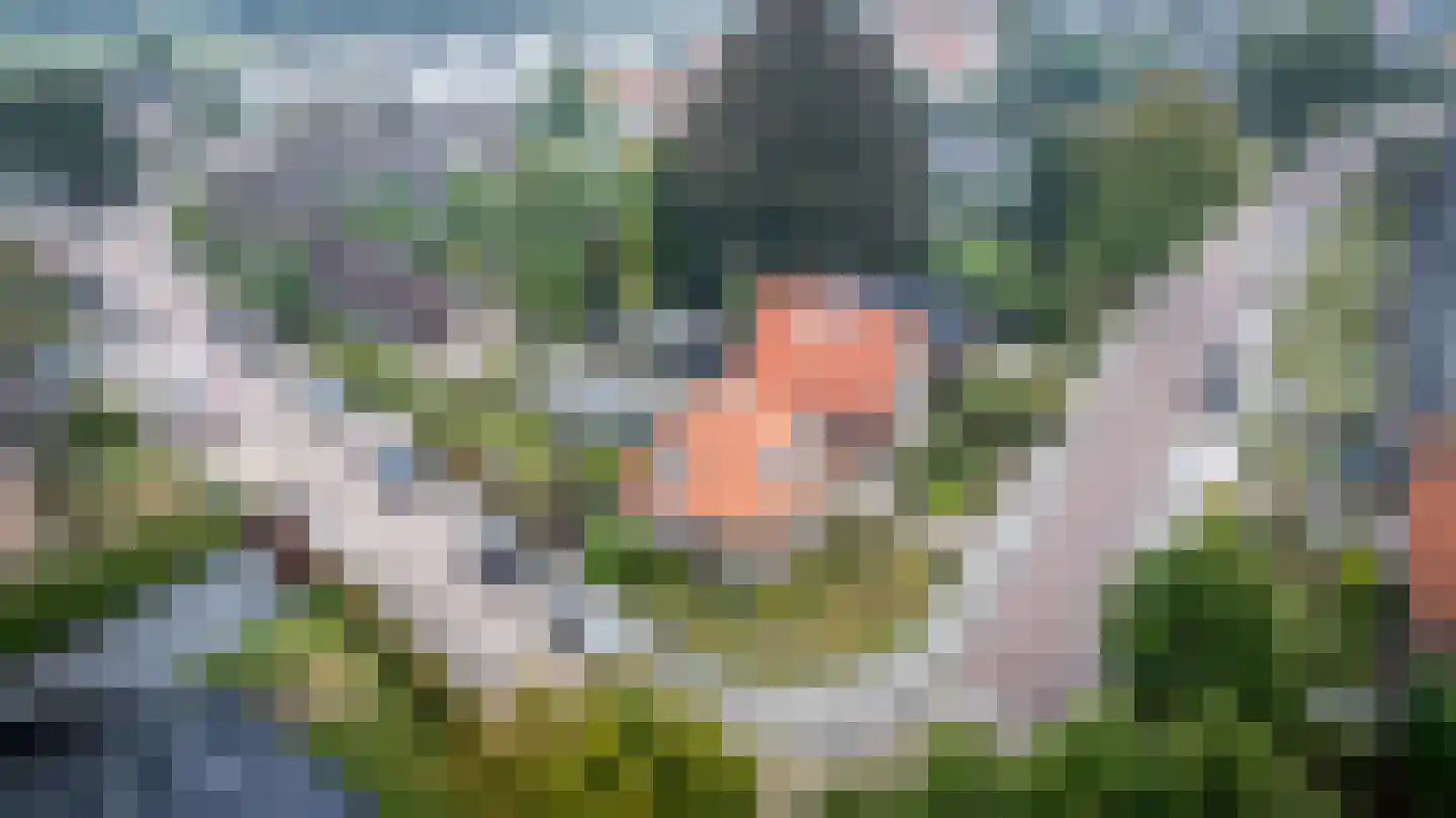 Gelderingen 32 Steenwijkerwold thumbnail 43