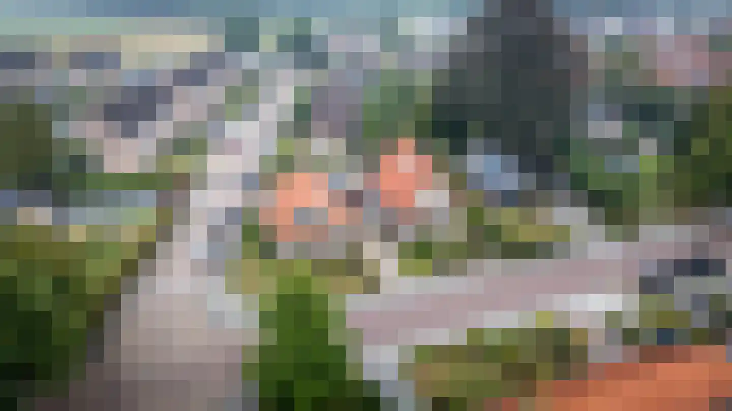 Gelderingen 32 Steenwijkerwold thumbnail 44