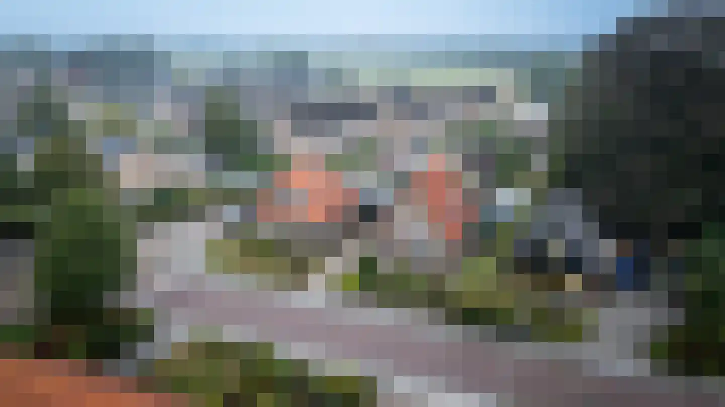 Gelderingen 32 Steenwijkerwold thumbnail 45
