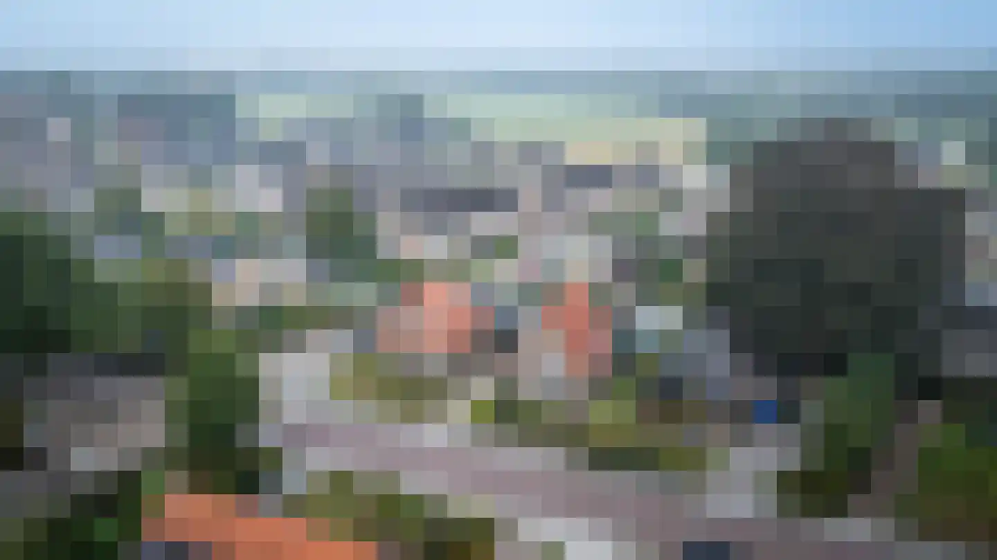 Gelderingen 32 Steenwijkerwold thumbnail 46