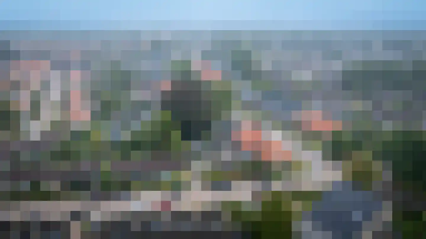 Gelderingen 32 Steenwijkerwold thumbnail 50