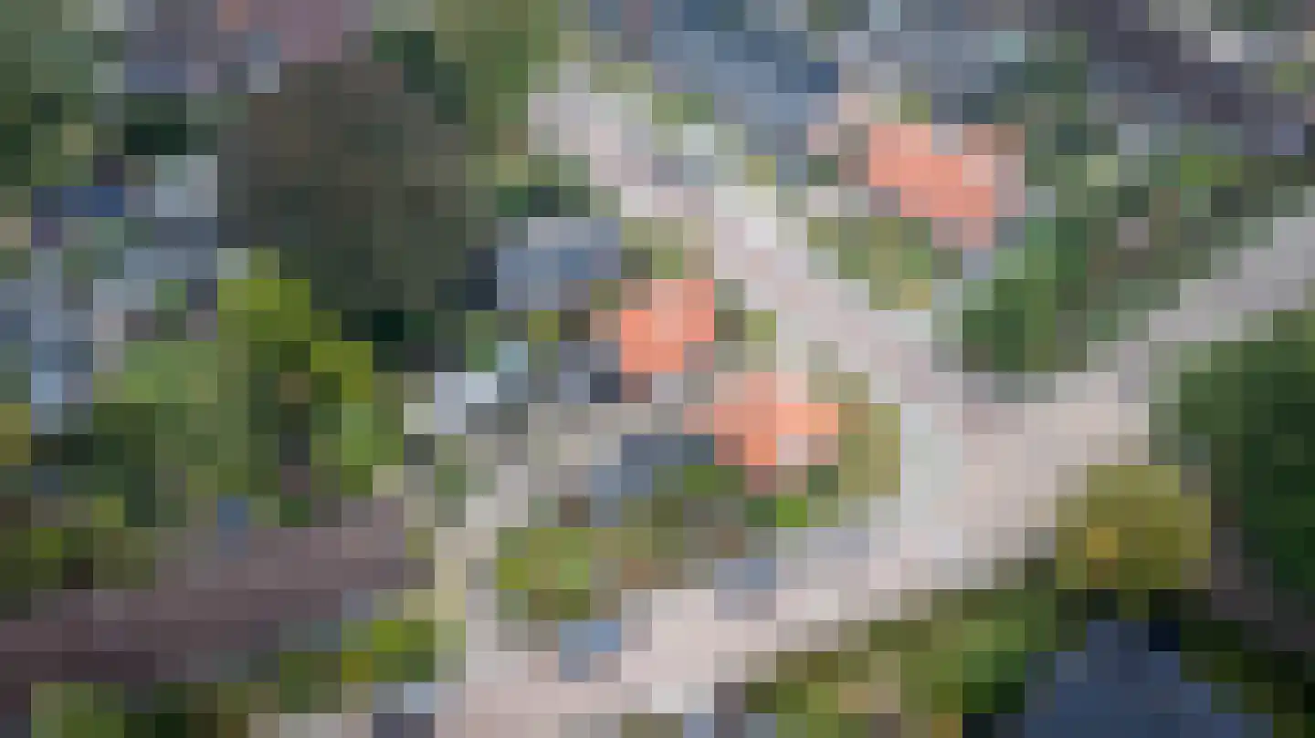 Gelderingen 32 Steenwijkerwold thumbnail 51