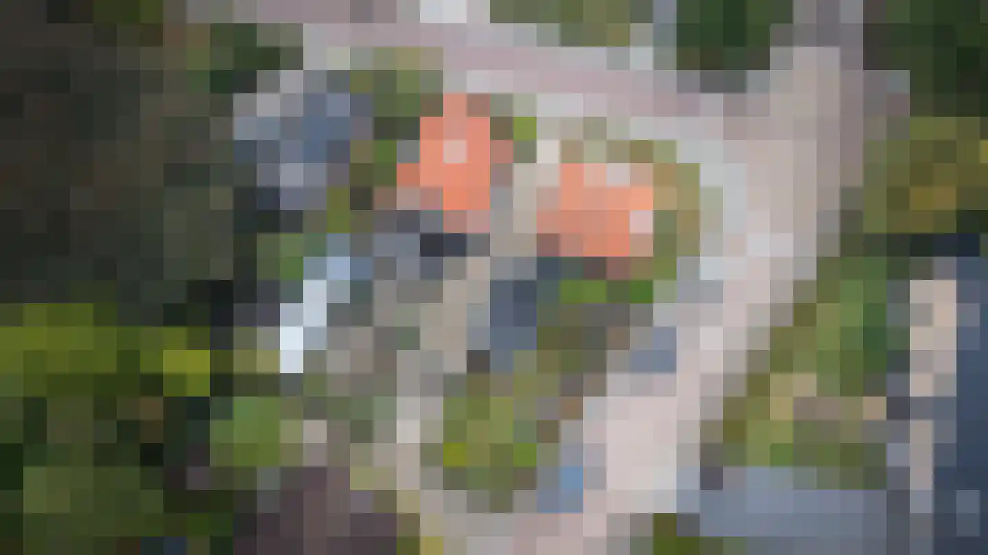 Gelderingen 32 Steenwijkerwold thumbnail 52