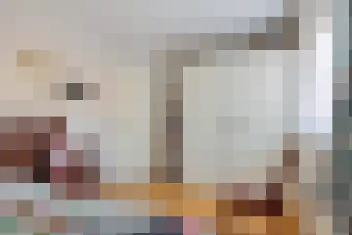 Gelderingen 50 Steenwijkerwold thumbnail 17