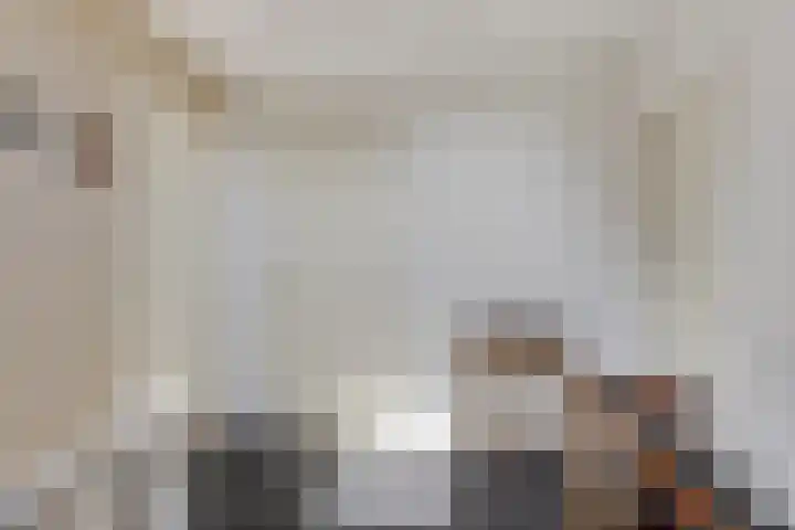 Gelderingen 50 Steenwijkerwold thumbnail 22