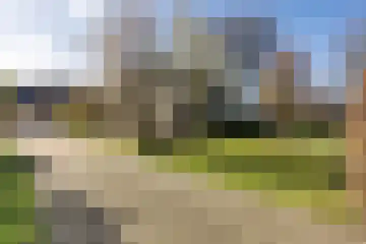 Gelderingen 50 Steenwijkerwold thumbnail 28