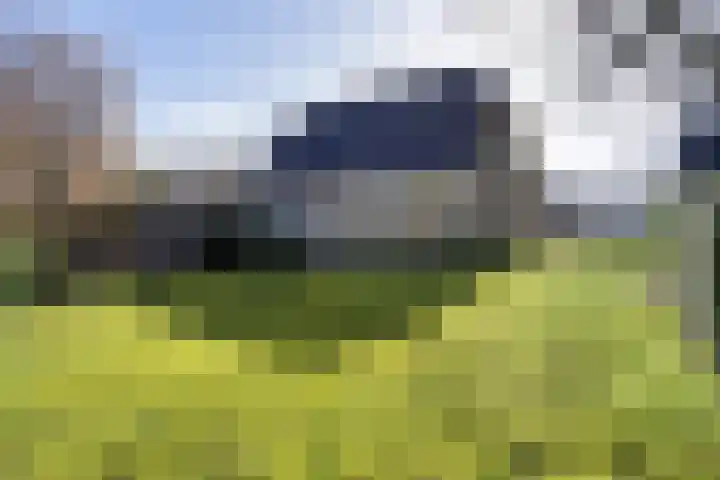 Gelderingen 50 Steenwijkerwold thumbnail 29