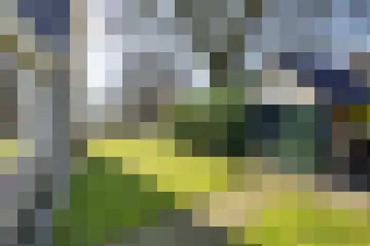 Gelderingen 50 Steenwijkerwold thumbnail 30