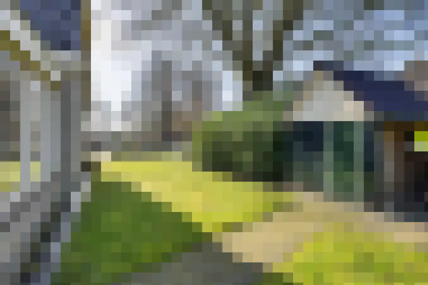 Gelderingen 50 Steenwijkerwold thumbnail 30