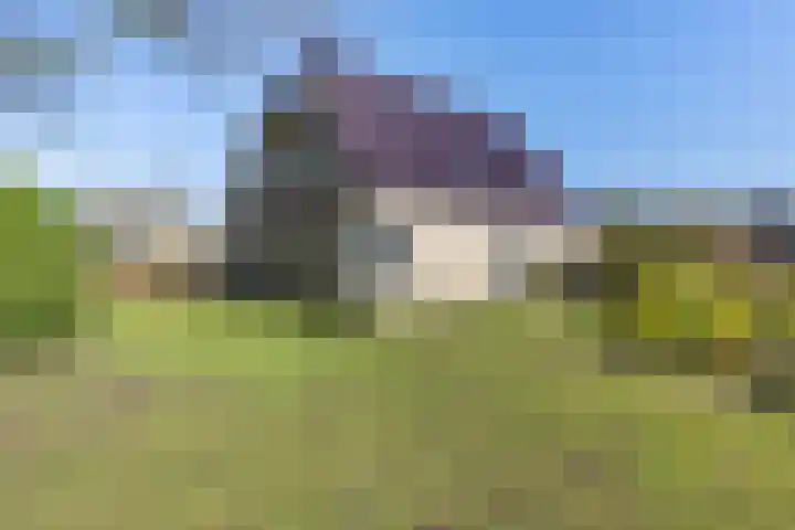 Gelderingen 50 Steenwijkerwold thumbnail 31