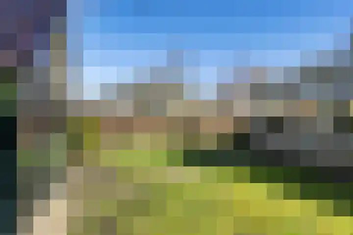 Gelderingen 50 Steenwijkerwold thumbnail 32