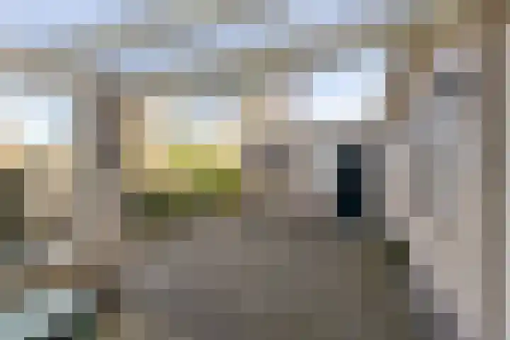 Gelderingen 50 Steenwijkerwold thumbnail 33