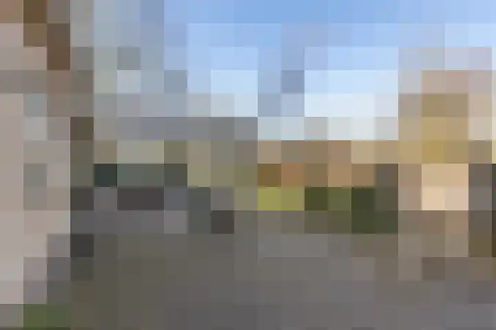 Gelderingen 50 Steenwijkerwold thumbnail 34