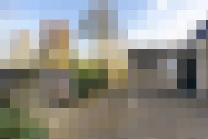 Gelderingen 50 Steenwijkerwold thumbnail 35