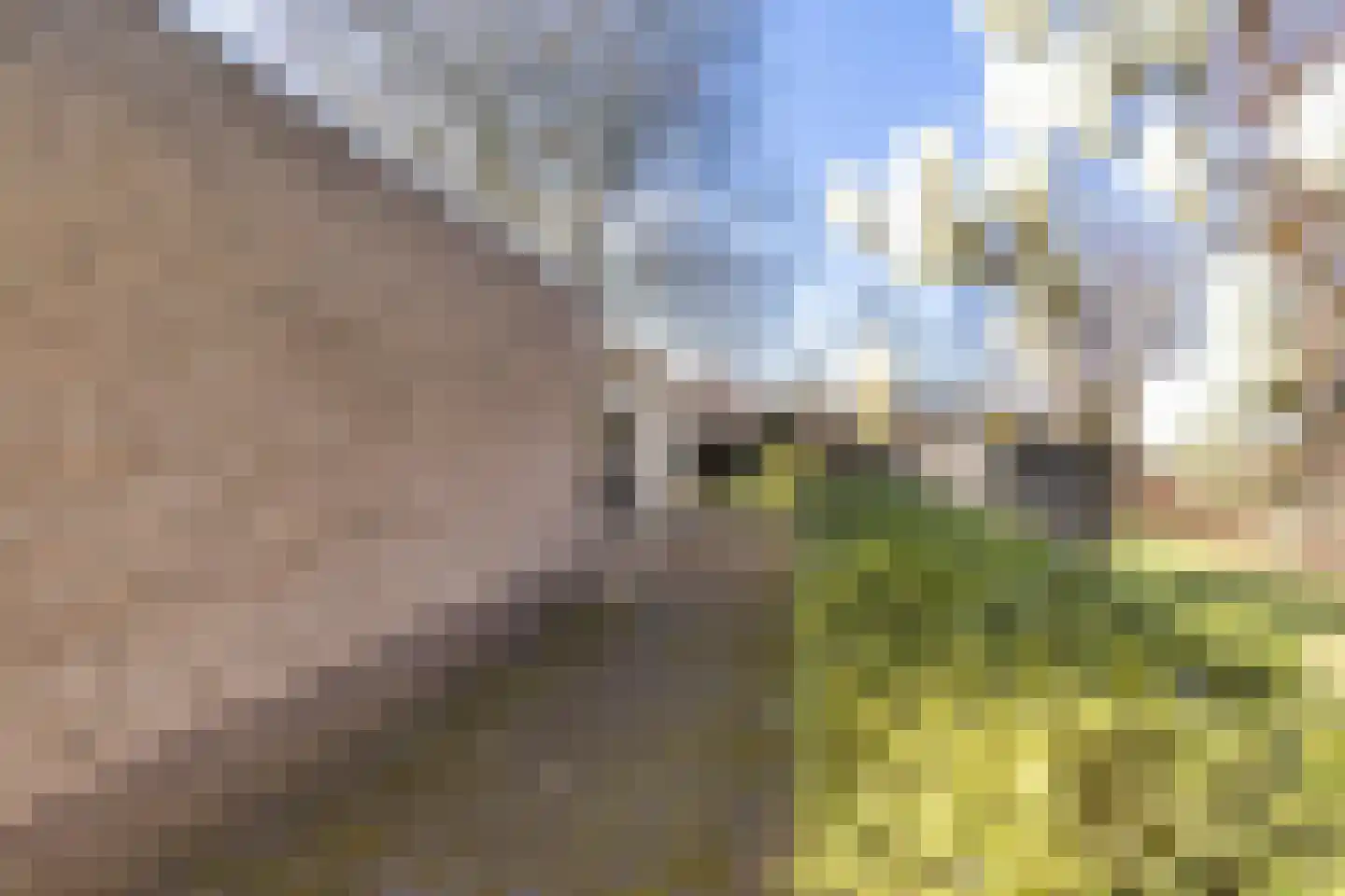 Gelderingen 50 Steenwijkerwold thumbnail 36