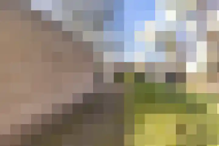 Gelderingen 50 Steenwijkerwold thumbnail 36