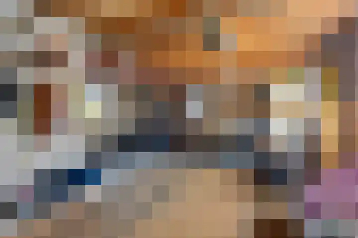 Gelderingen 50 Steenwijkerwold thumbnail 38