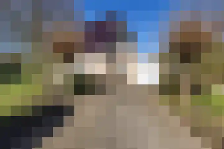 Gelderingen 50 Steenwijkerwold thumbnail 40