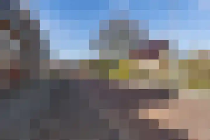 Gelderingen 50 Steenwijkerwold thumbnail 41