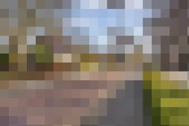 Gelderingen 50 Steenwijkerwold thumbnail 5