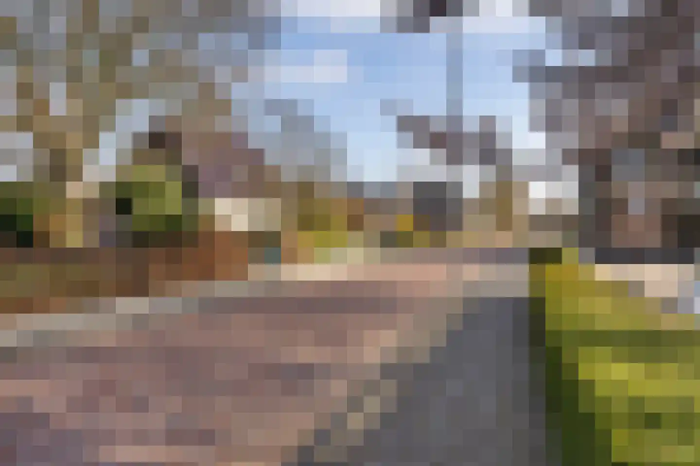 Gelderingen 50 Steenwijkerwold thumbnail 5