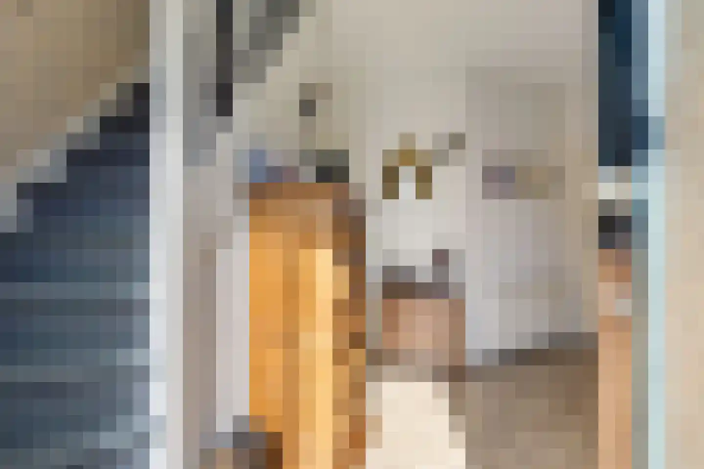 Gelderingen 50 Steenwijkerwold thumbnail 8