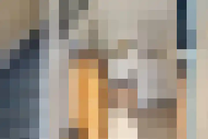 Gelderingen 50 Steenwijkerwold thumbnail 8