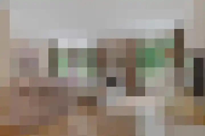 Gelderlandhof 23 Helmond thumbnail 16