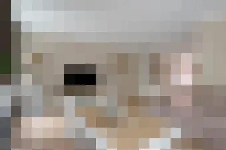 Gelderlandhof 23 Helmond thumbnail 18