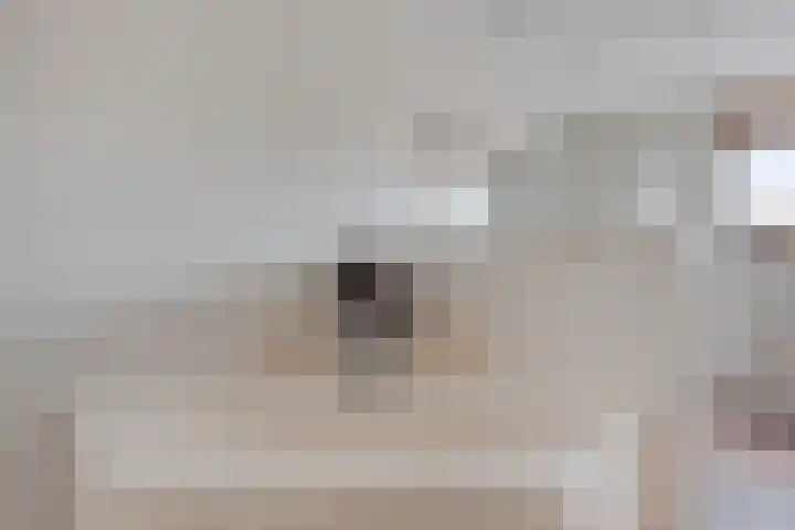 Gelderlandhof 23 Helmond thumbnail 29