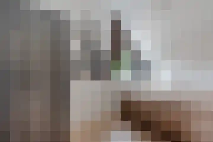 Gelderlandhof 23 Helmond thumbnail 30