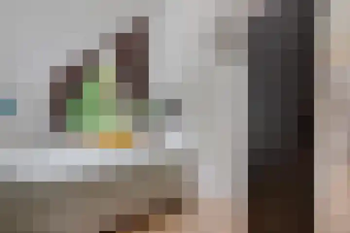 Gelderlandhof 23 Helmond thumbnail 32