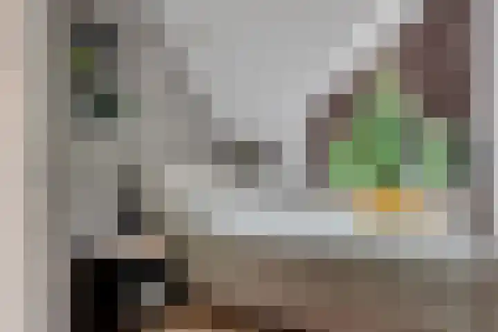 Gelderlandhof 23 Helmond thumbnail 33