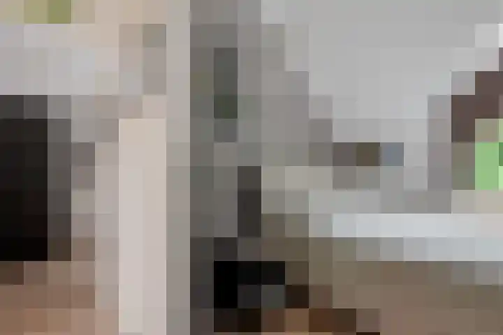 Gelderlandhof 23 Helmond thumbnail 34