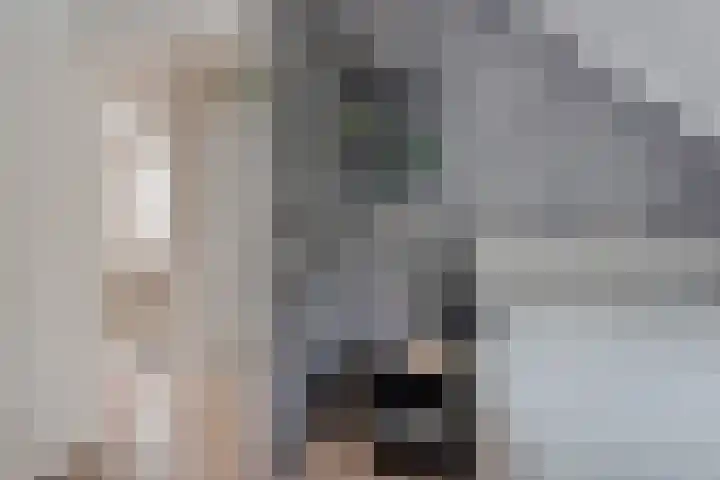 Gelderlandhof 23 Helmond thumbnail 35