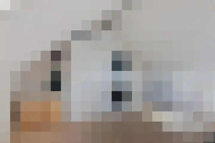 Gelderlandhof 23 Helmond thumbnail 38