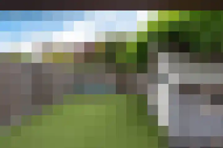Gelderlandhof 23 Helmond thumbnail 43