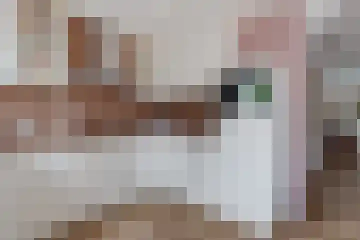 Gelderlandhof 23 Helmond thumbnail 9