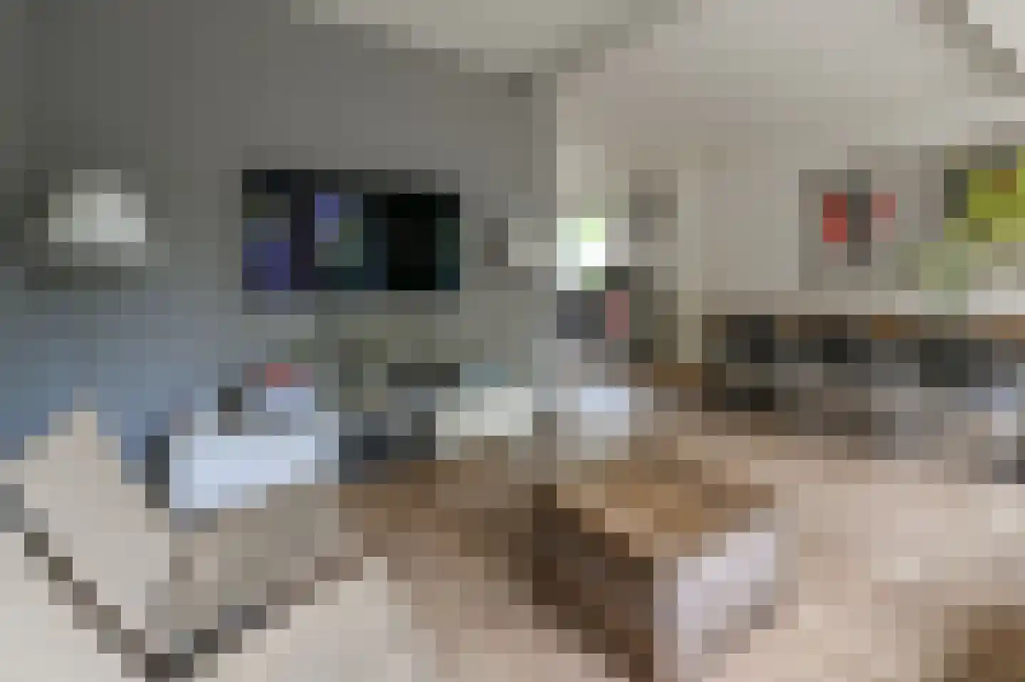 Gelderlandlaan 1 Heemstede thumbnail 11