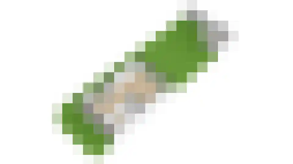 Gelderlandlaan 1 Heemstede thumbnail 38