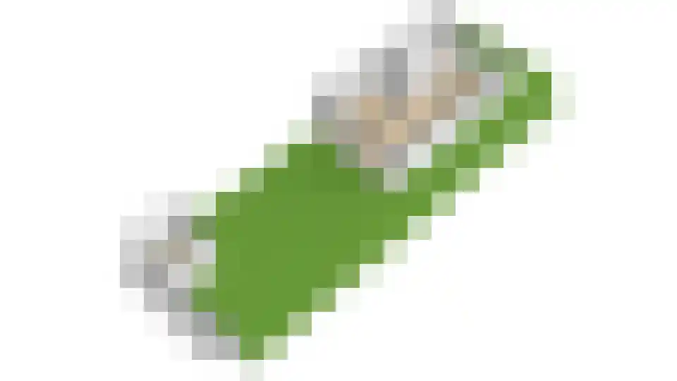 Gelderlandlaan 1 Heemstede thumbnail 39