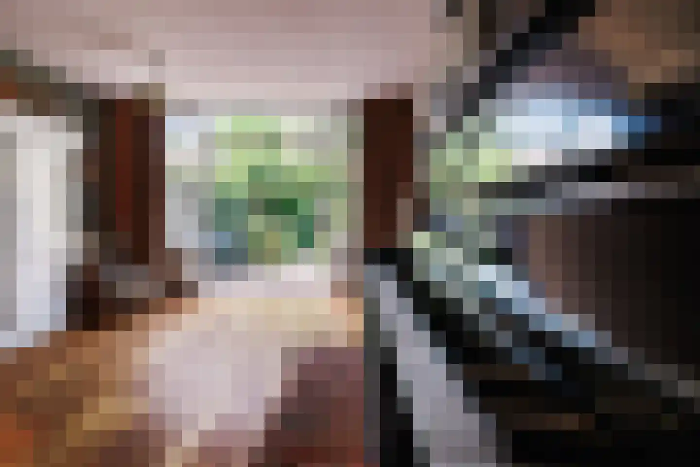 Gelderlandlaan 11 Son en Breugel thumbnail 14
