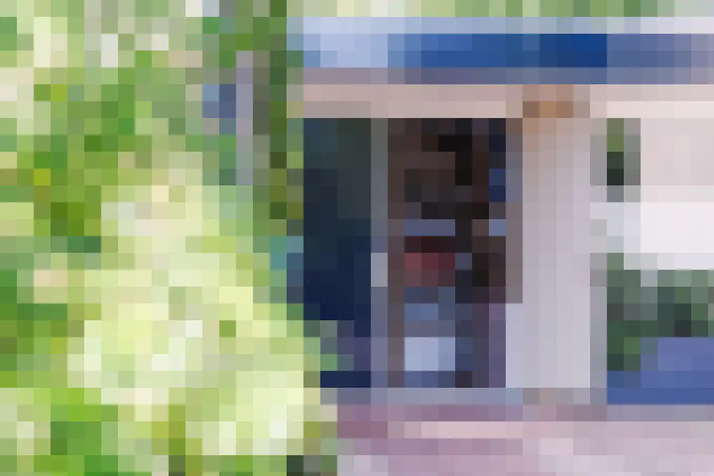 Gelderlandlaan 11 Son en Breugel thumbnail 37