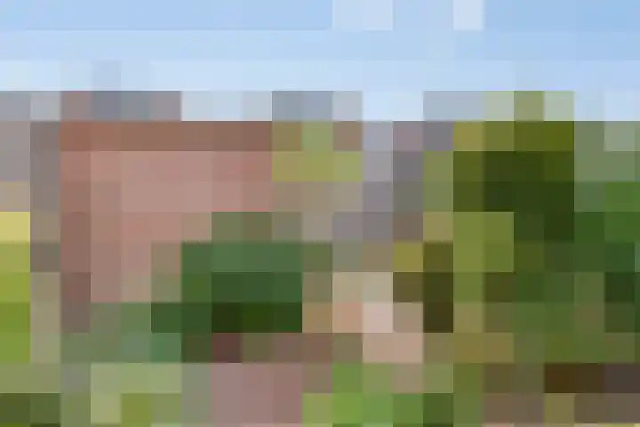 Gelderlandlaan 31 Vlaardingen thumbnail 16