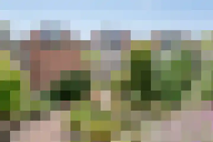 Gelderlandlaan 31 Vlaardingen thumbnail 17