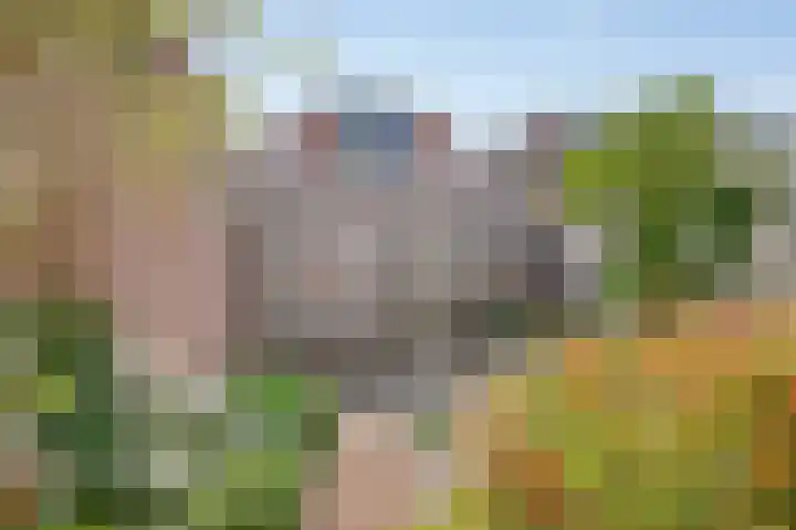 Gelderlandlaan 31 Vlaardingen thumbnail 18